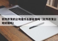 软件开发的公司是什么都能做吗（软件开发公司好做吗）